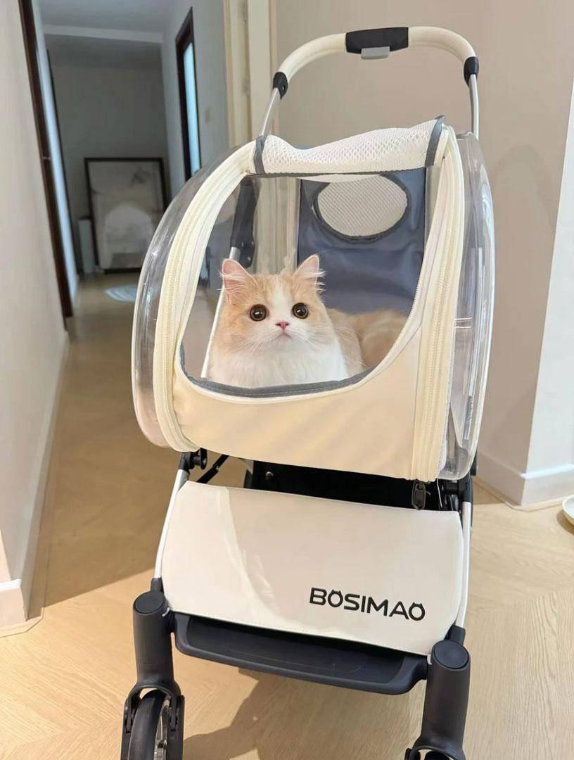 Image showcasing Top 10 Most Stylish Cat Carriers & Strollers for Modern Cat Parents ...